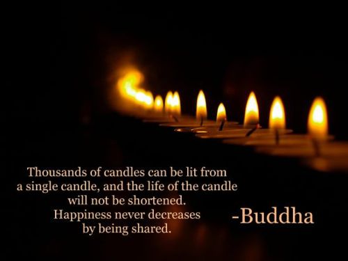 Buddhism Quotes (11)